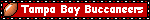 Tampa Bay Buccaneers